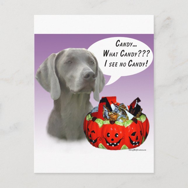 Weimaraner Halloween Candy Postcard (Front)