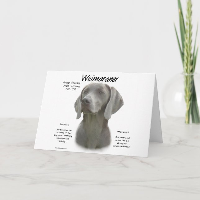 Weimaraner History Design Card (Front)
