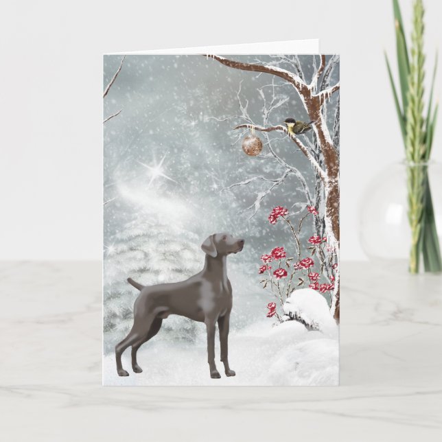 Weimaraner Holiday Card (Front)