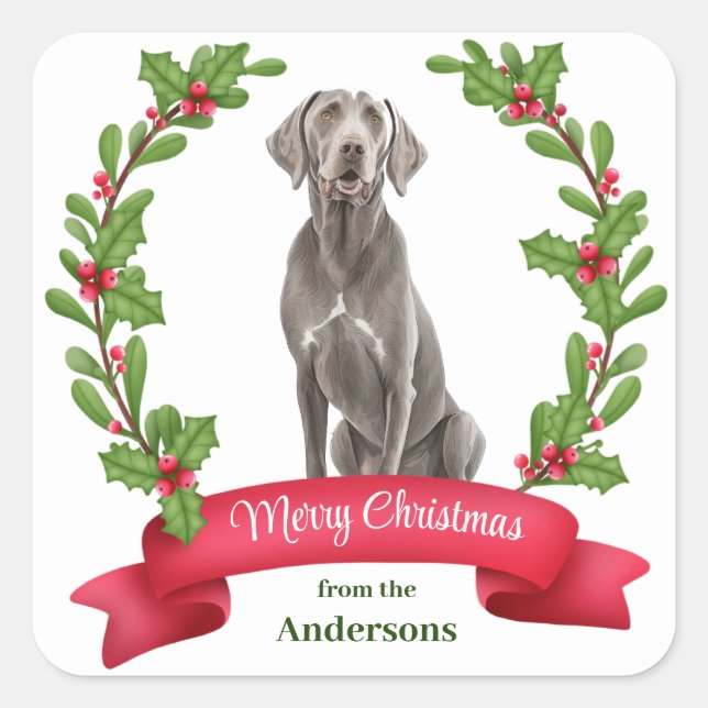 Weimaraner Holly Banner Christmas Square Sticker (Front)