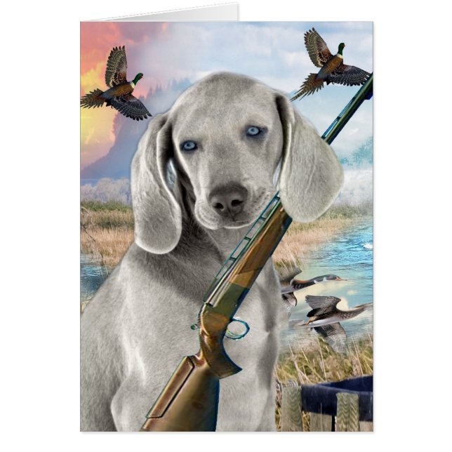 Weimaraner Hunts (Front)