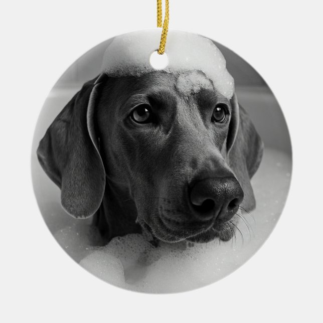 Weimaraner in the bath with bubbles on his head ceramic ornament (Front)