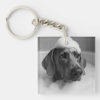 Weimaraner in the bath with bubbles on his head keychain