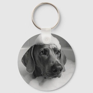 Weimaraner in the bath with bubbles on his head keychain