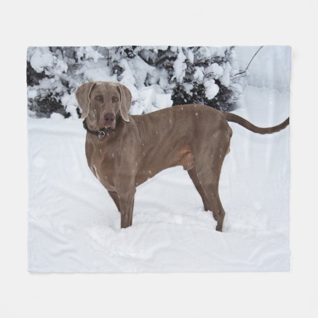 Weimaraner In Winter Fleece Blanket (Front (Horizontal))