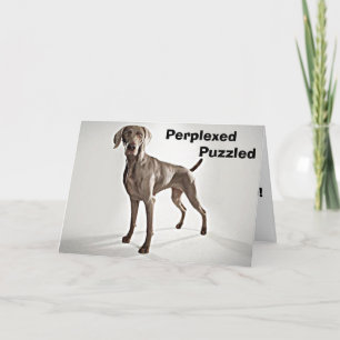 WEIMARANER IS PERPLEXED/PUZZLED U R 40! CARD