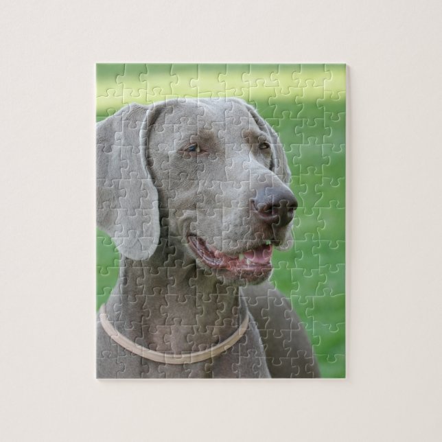 Weimaraner Jigsaw Puzzle (Vertical)