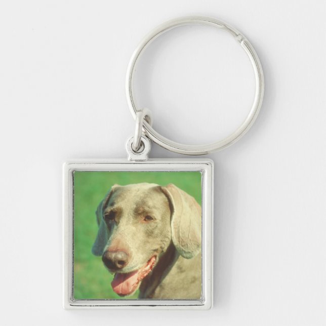 Weimaraner Keychain (Front)