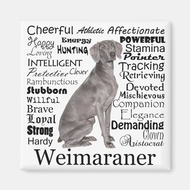 Weimaraner Magnet (Front)