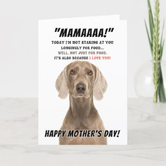 Weimaraner mother's day greeting card