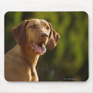 Weimaraner Mouse Pad