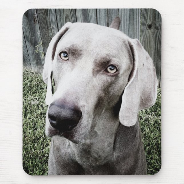 Weimaraner Mouse Pad (Front)