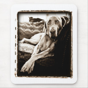 Weimaraner Nation : "Ballou's Chair" Mouse Pad