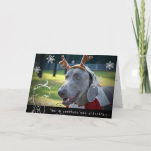 Weimaraner Nation :"Not A Creature was Stirring... Holiday Card