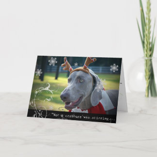 Weimaraner Nation :"Not A Creature was Stirring.." Holiday Card