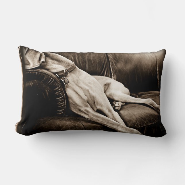 Weimaraner Nation © : "Taking Over the Couch" Lumbar Pillow (Front)