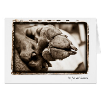 Weimaraner Nation : "The Foot Well Travelled"