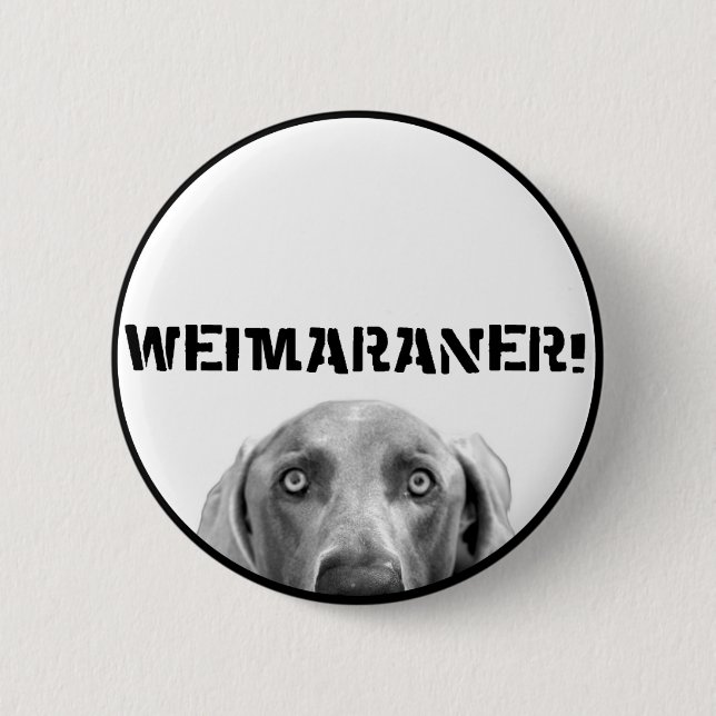 Weimaraner Nation : Weimaraner In A Box! 2 Inch Round Button (Front)