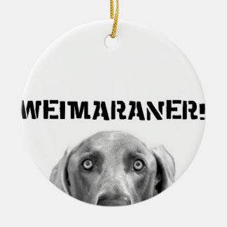 Weimaraner Nation : Weimaraner In A Box! Ceramic Ornament
