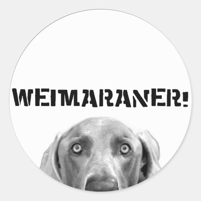 Weimaraner Nation : Weimaraner In a Box (Circle) Classic Round Sticker (Front)