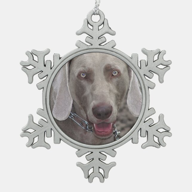 Weimaraner Pewter Snowflake Ornament (Front)