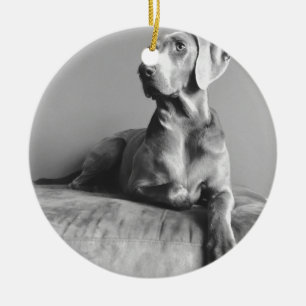 Weimaraner Portrait Ceramic Ornament