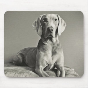 Weimaraner Portrait Mouse Pad