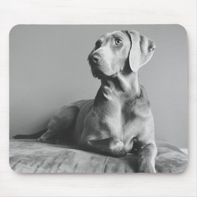 Weimaraner Portrait Mouse Pad (Front)