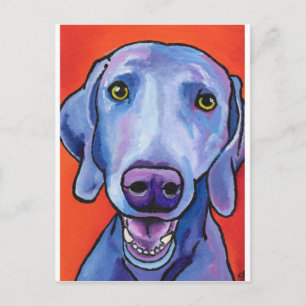 Weimaraner Postcard