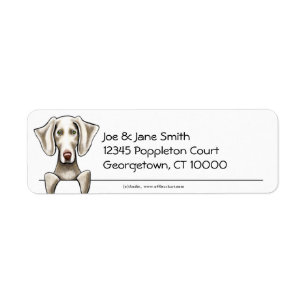 Weimaraner propre et simple
