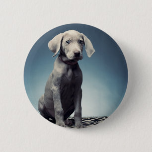 Weimaraner puppy 2 inch round button