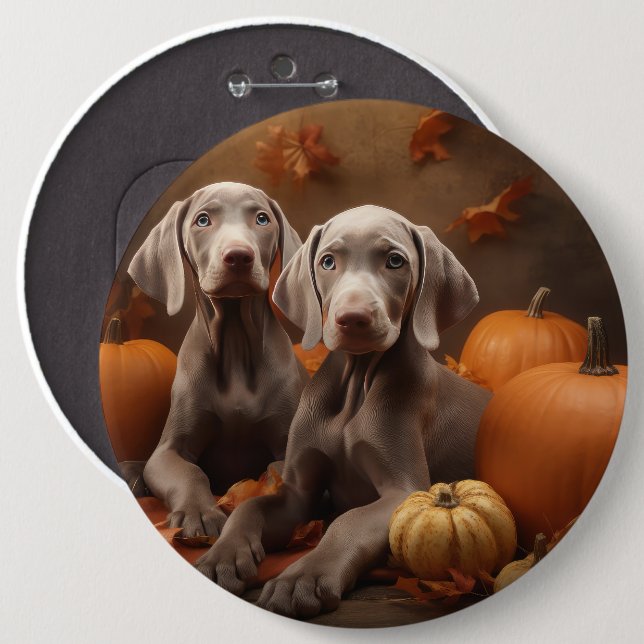 Weimaraner Puppy Autumn Delight Pumpkin 6 Inch Round Button (Front & Back)