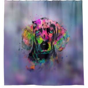 Weimaraner puppy colour splash