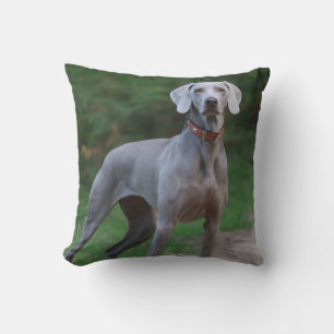 Weimaraner Puppy Dog Throw Pillow