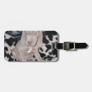 Weimaraner Puppy Luggage Tag