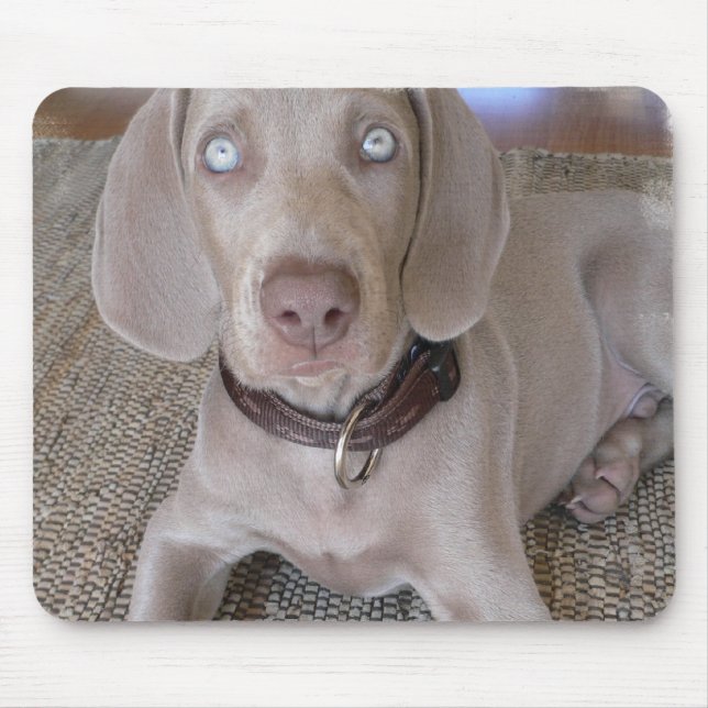 Weimaraner Puppy Mouse Pad (Front)