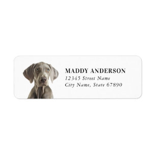 Weimaraner Return Address Labels