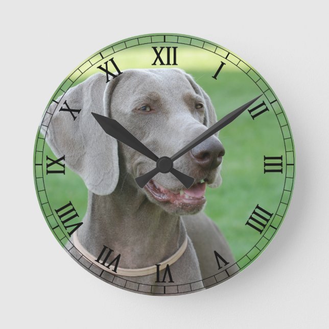 Weimaraner Round Clock (Front)