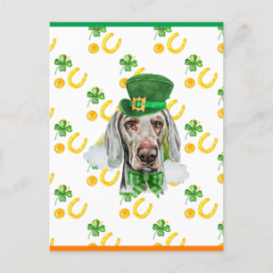 Weimaraner Shamrock St. Patricks Day Holiday Postcard