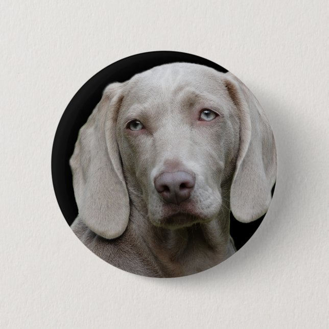 Weimaraner Silver Grey 2 Inch Round Button (Front)