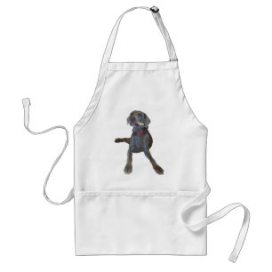 weimaraner standard apron