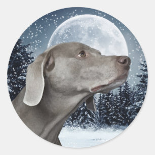 Weimaraner Sticker