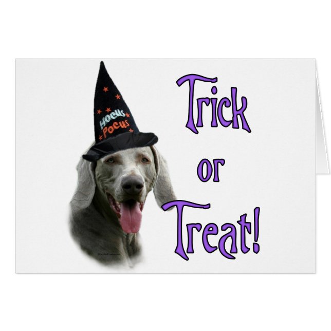 Weimaraner Trick (Devant horizontal)