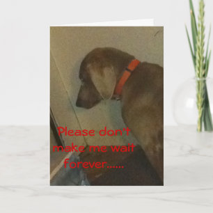 Weimaraner Valentine Holiday Card