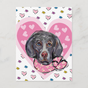 Weimaraner Valentine Holiday Postcard