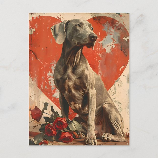 Weimaraner Vintage Valentine's Day  Postcard (Front)