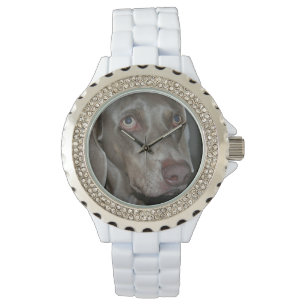 Weimaraner Watch