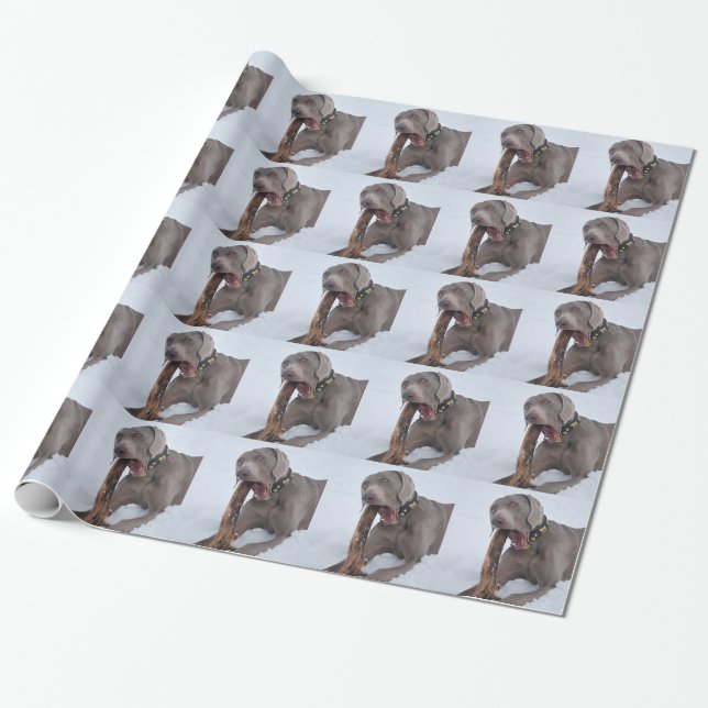 Weimaraner Wrapping Paper (Unrolled)