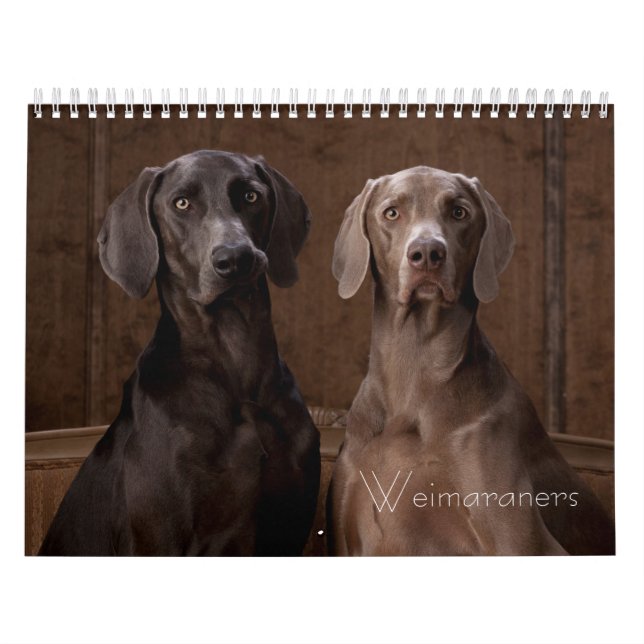 Weimaraners Calendar (Cover)