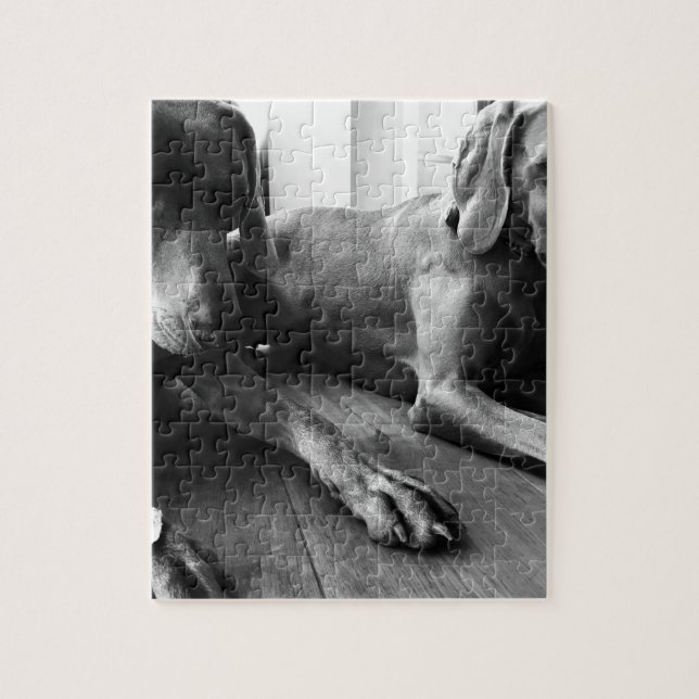 Weimaraners Jigsaw Puzzle (Vertical)